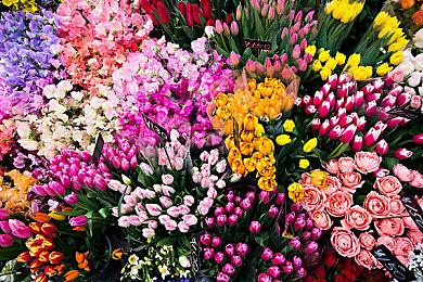 《铲子骑士》开发商新作《挖洞鼠米娜》众筹期延长